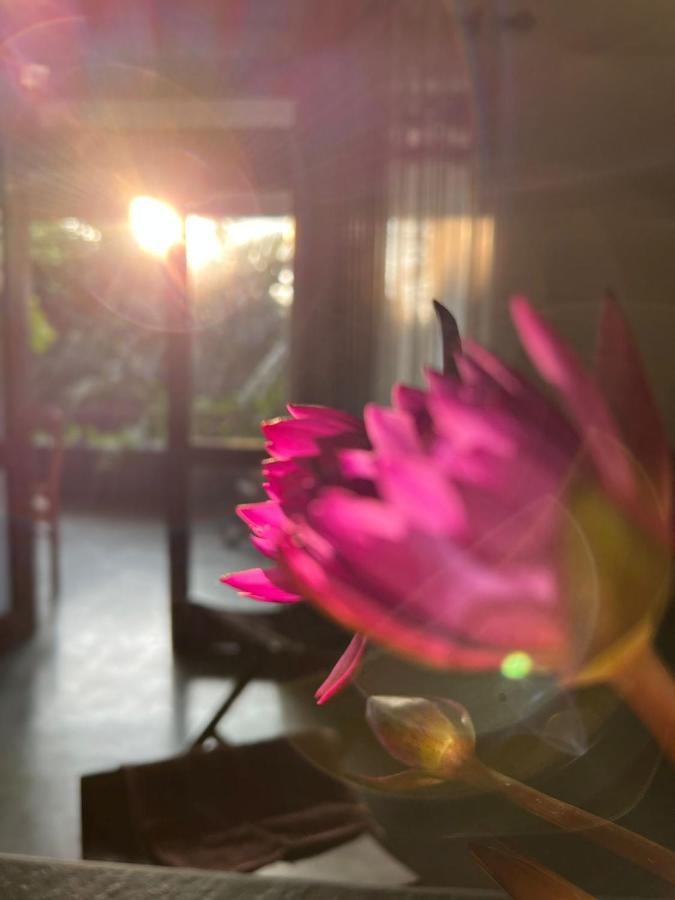 Villa A & A 希克杜沃 外观 照片