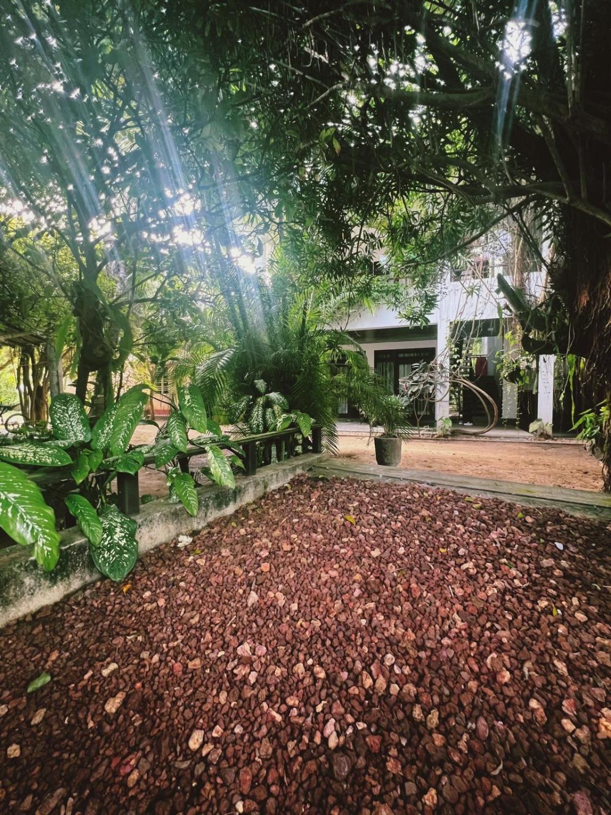 Villa A & A 希克杜沃 外观 照片
